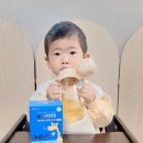 포헬라 이미지