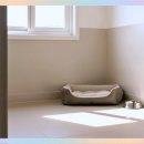 강아지 보호센터 이미지