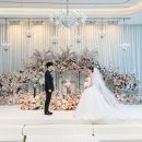 세인트41 이미지