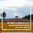 삼가체육공원_R | 합천 신소양체육공원 핑크 뮬리 &amp; 황화코스모스(25.10.05)