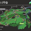 2023년7월13일 대관령 삼포암 / 치유숲길산행 후 초 복달임 합니다 이미지