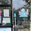 삼화훈동물병원 | 제주 삼화 훈동물병원 ::제주도 동물병원 애견미용 솔직한 후기 작성