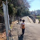 제7구경길 송지호둘레길 | 가족 나들이 제주 서귀포 서홍동 솜반천 둘레길 천지연폭포 아이들과 다녀온 후기