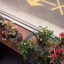 목화당구장 이미지