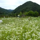 일월산기슭