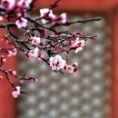 미아초등학교 이미지