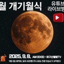 물드네