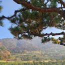 일레븐CC 이미지