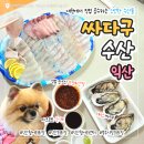 해뜨는유치원 | [익산] 북부시장 활어회 맛집 &#34;싸다구수산&#34; 수산물이 저렴하고 귀여운 콩이까지 내돈내산 후기