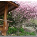 원당마을회관 이미지