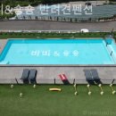 비비&숑숑 반려견펜션 이미지