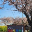 실안선착장 이미지