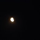 화랑농장 이미지