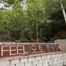 공단로 R | [캠핑] 서울 근교 화성 캠핑장, 필캠핑장 F사이트 후기