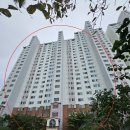 하단동1217 이미지