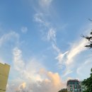 벼리 게스트하우스 | 엄청나게 깨끗했던 제주 동부 구좌 숙소, 벼리게스트하우스