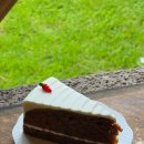 선흘주택 | 제주 조천 선흘 디저트카페 당근케이크 맛집 구좌상회 후기 :)