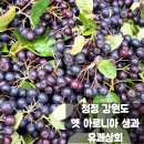 고원상회