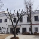 연세우유당진 네이버블로그