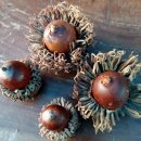 간성농장 이미지