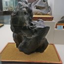 덕소자연사박물관 이미지