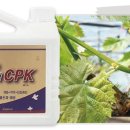 ㈜씨엠씨코리아 이미지