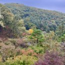 숲으로(주) | 곤지암 화담숲 10월 넷째주 주말 후기 주차 단풍 현황 산책코스추천 스탬프투어 정보