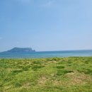 제주도 아쿠아플라넷 후기