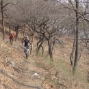 엄사약국 이미지