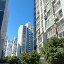 주공비디오 이미지