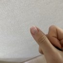 CU굴화월드점 | 울산 네일샵 추천 : 오아이네일 내돈내산 후기