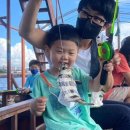 올레바당체험마을 이미지