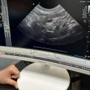 서초이음동물병원 | 과잉진료없는 고양이전문병원 서초이음동물병원 장점 단점 노묘 고양이구토증상 컨디션저하 원인