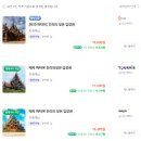 성전건설 | 태국 자유여행 꼭 방문해야 할 곳_진리의 성전_예약 및 후기_