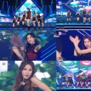 엘리스 이미지