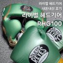 복싱100 | 라이벌 헤드기어 RHG100, 복싱 헤드기어 추천 내돈내산 후기