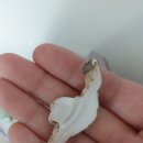 굿뜨래몰 부여버섯영농조합법인 슬라이스버섯 후기