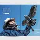 남해매방
