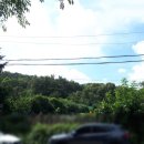 황금1동주민센터 이미지