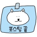 블루밍 펫 살롱 이미지