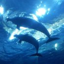 장생포고래박물관 이미지