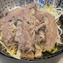 양지위생 | 내돈내산 목초육 소고기 추천! 엉파 호주산 목초우 차돌양지 후기