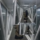 은행약국 | 청주국제공항 각종 편의시설 위치 식당 카페 은행 환전 약국 편의점 흡연실 화장실