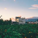 콴도제주 이미지