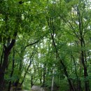 형제봉길 이미지