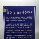 해수워터피아 이미지