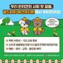 하영유치원 | [공릉] 공릉애견유치원 골드퍼피애견유치원 성향테스트 리얼 체험 후기