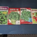 은평-072 이미지