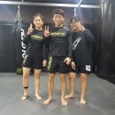 DK멀티짐 이미지