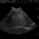 리온동물병원 이미지